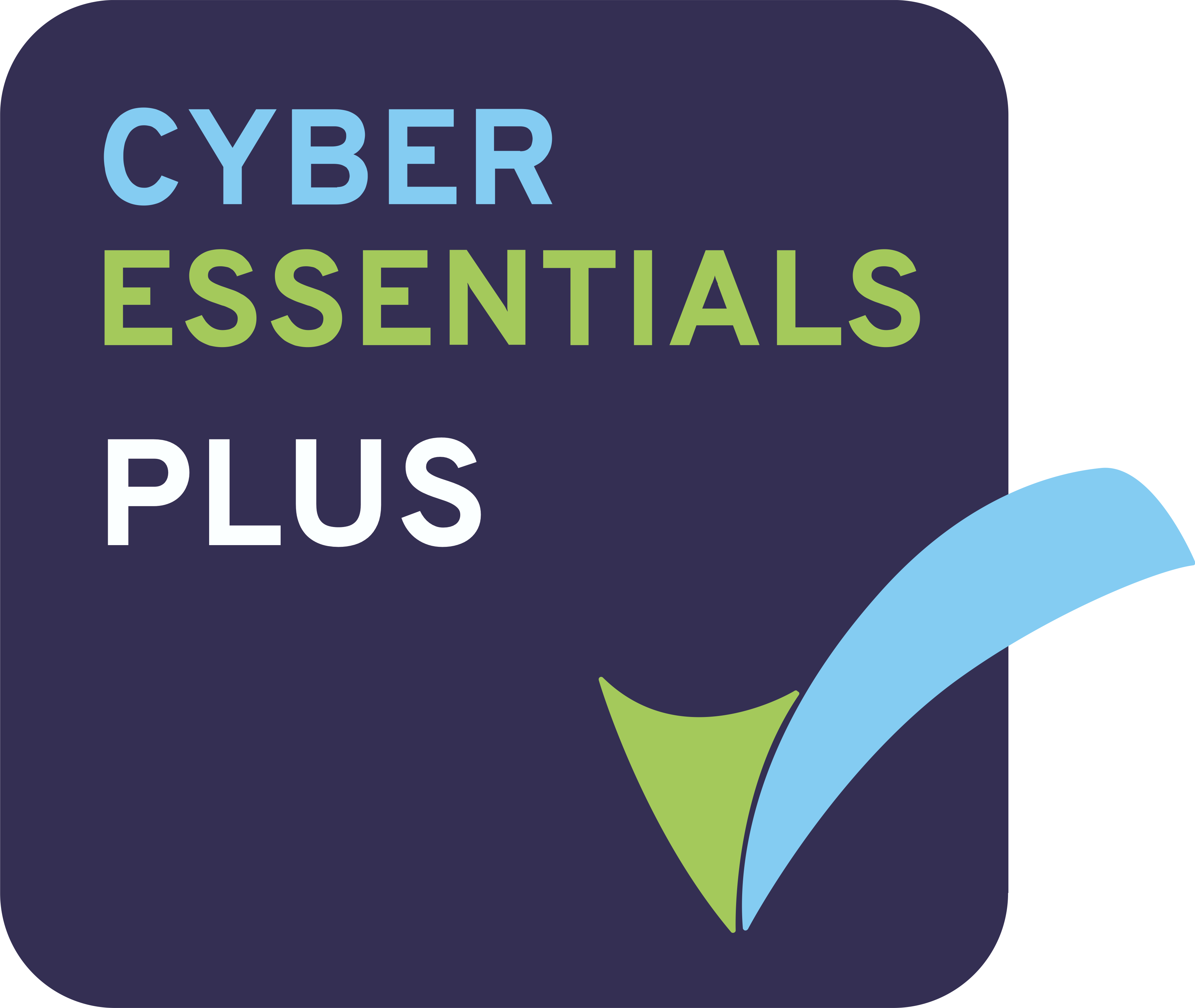 Viking Arms is Cyber Essentials Plus assured