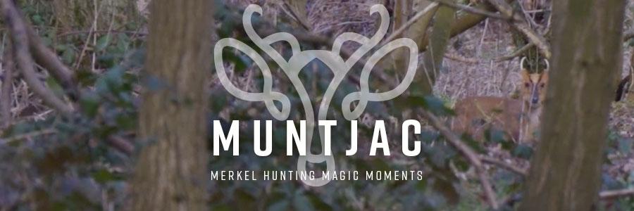 Muntjac – Merkel Hunting Magic Moments