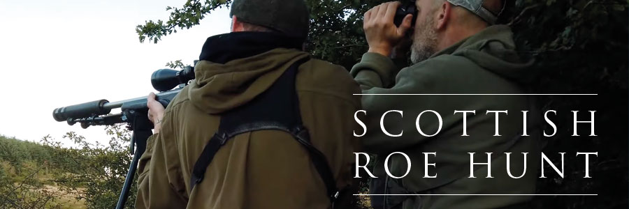 Stalking a Gold Medal Roe Buck with Primal Nomad Bushcraft and Chris Dalton