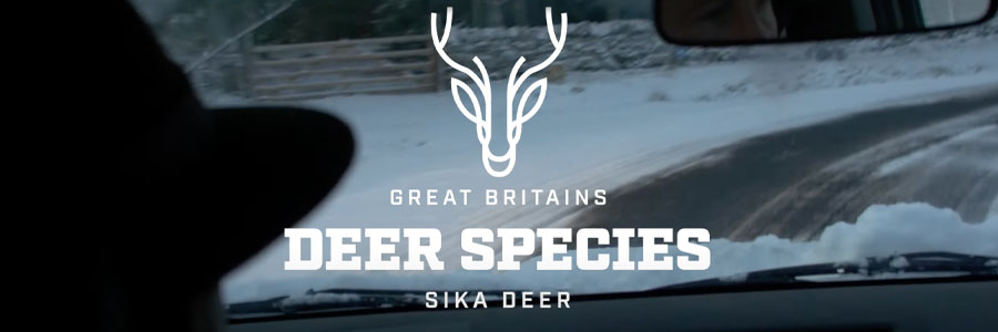 To stalk the nonindigenous species of Japanese Sika Deer requires a great deal of patience and puts your hunting skills and shooting ability to the test.  Viking’s Sales Manager Andy Norris seized the opportunity to be taken Sika Deer stalking by The Highland Shooting Centre’s expert deer stalker, Marcus Monroe, in the stunning scenery of Sutherland in the Highlands of Scotland. Cold, snowy and fresh, the perfect combination for a Sika Stag Deer Stalk.